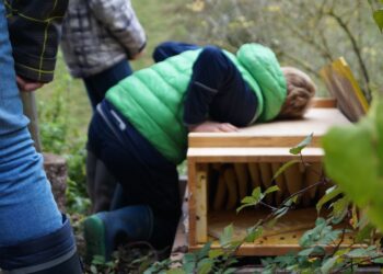 Erinnerungen an diverse Situationen